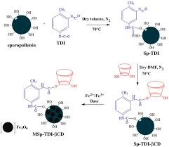 It came with the duel field 12' coil, a jimmy tdi dual field mono and the mini jimmy mono 6 x 4. Recent Advances And Applications Of Cyclodextrins In Magnetic Solid Phase Extraction Sciencedirect