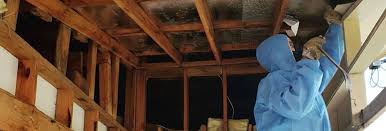 An estimated 20,000 people will die each year for the next 30 years from asbestos popcorn and textured ceilings, ceiling tiles, floor tiles, and pipe insulation should be checked. Asbestos Testing Aussie Asbestos Solutions