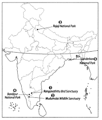 Class 9 Geography Map Work Chapter 5 Natural Vegetation And Wildlife Learn Cbse