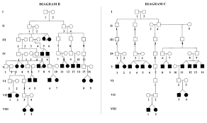 Diagrams B And C Show Pedigree Fragments Of Two Other