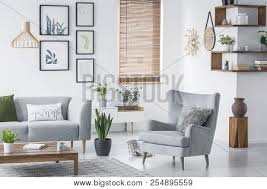 Check spelling or type a new query. Wooden Corner Shelves With Decor And Fresh Plants Hanging On Wall In Real Photo Of Bright Living Room Interior With Armchair With Fur Cushion Window With Wooden Blinds And Coffee Table