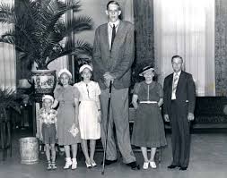 A fost cea mai înaltă clădire din lume timp de 25 de ani, iar până în 2009 a fost cunoscută sub numele oficial de sears tower. Cel Mai Inalt Om Din Toate Timpurile Avea 1 82 Metri La Opt Ani A Murit Pe 15 Iulie Evenimentul Istoric