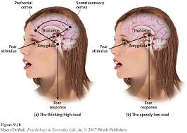 Cognitive theories of emotion are theories which try to explain the concept of emotions by proving that they are based around a person's perception lazarus stated that cognition is both a necessary and sufficient condition of emotion (lazarus, 1991). Pel4e Ch9