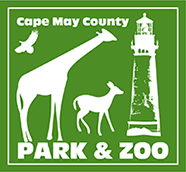 Check spelling or type a new query. Cape May County Park Zoo