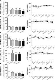A know your client form, also known as a kyc form, is used by banks and other financial businesses to collect information about the identities and addresses of their clients. Characterization Of The Trigeminovascular Actions Of Several Adenosine A 2a Receptor Antagonists In An In Vivo Rat Model Of Migraine Springerlink