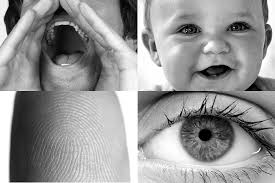 Do You Own Your Own Fingerprints?