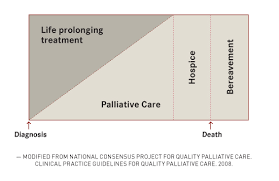 Insight And Information Are Key To Implementing Palliative Care
