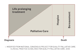 insight and information are key to implementing palliative care