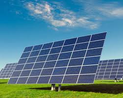 THE MAGNETARS product image