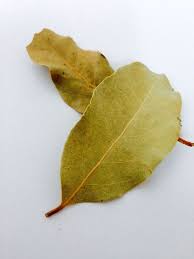 Lorbeerblatter Gegen Schlaflosigkeit Frag Mutti Schlaflosigkeit Gesundheit Schlafstorungen Hausmittel