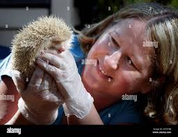 Jack and diane hi-res stock photography and images