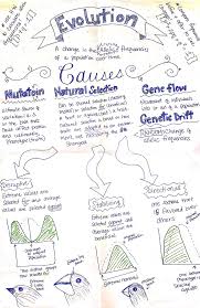 Evolution Part 1 By Leslie Lopez Biology Lessons Biology Teacher Ap Biology