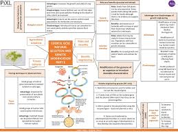 Maybe you would like to learn more about one of these? Edexcel Gcse Natural Selection And Genetic Modification Part 2 Ppt Download