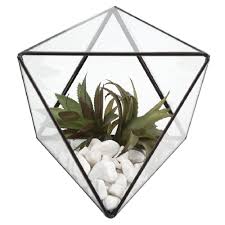 Terrarium Laiton Cuivre Vase Et Plante Artificielle Objet Decoratif Decoration Gifi Objet Decoration Decoration Nordique Accessoire Deco