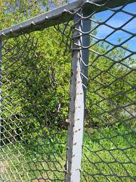 Shop Time wT.W. Friends. Label your drawers, or nah? Vote now!! | Page 950  | Tacoma World