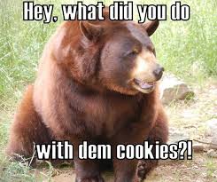 Pin By Funnyand On Memes Comics Bear Meme Funny Bears Funny Animal Quotes