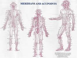 Acupuncture Needle Placement Chart Pngline