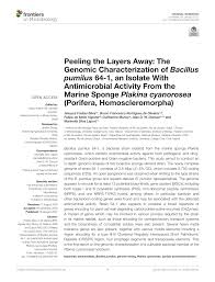 ►► more diy's ◀◀ diy wedding signs. Pdf Peeling The Layers Away The Genomic Characterization Of Bacillus Pumilus 64 1 An Isolate With Antimicrobial Activity From The Marine Sponge Plakina Cyanorosea Porifera Homoscleromorpha
