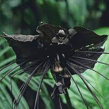 Pin On Nature S Beauty