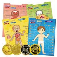 The printable reading passages and activities come in differentiated versions so you can use the ones that best meet the needs of your students. Best Learning I Poster My Body Interactive Educational Human Anatomy Talking Game Toy System To Learn Parts Organs Muscles And Bones For Kids Aged 5 12 Years Old Educational Toys Planet