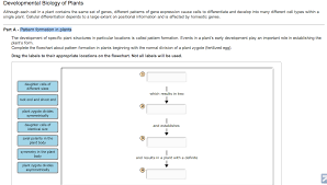 solved developmental biology of plants although each cell