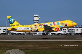 The World Of Wild Crazy Airplane Paint Jobs Airplane Painting Aircraft Painting Airplane Design