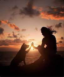 Https Emmanuellebathsheba Tumblr Com Post 613273756986654720 Dog Photos Girl And Dog Dog Photography