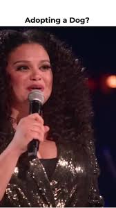 Adopting a Dog is like...Follow and like if you want more content!  #comedyhut #michellebuteaucomedy #adopt #dog #wow #funny #hello #doggos  #yes Comedian: Michelle Buteau