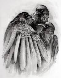 Black And White Raven Drawing The Gathering Giclee Print From Original Charcoal Drawing By Lauren Gray Raven Art Bird Art Crow Art
