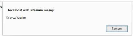 Bir hükümet uyarısı aldığınızda alarma benzer özel bir ses duyarsınız. Javascript Alert Kullanimi