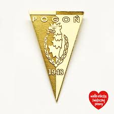 We have allocated points to each yellow (1 point) and red card (3 points) for ranking purposes. Zloty Herb Pogoni Szczecin Pin 8846128363 Oficjalne Archiwum Allegro