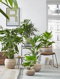 Maybe you would like to learn more about one of these? 60 Plant Stand Design Ideas For Indoor Houseplants Page 62 Of 67 Lovein Home Growing Herbs Indoors Houseplants Indoor Indoor Plants