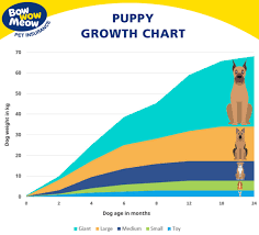 Beagle, border collie, boston terrier, english bulldog, french bulldog. Puppy Development Stages Newborn Milestones Growth Charts
