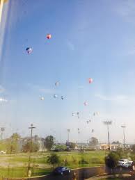 Kylie Whitt (@masterfreckles2)