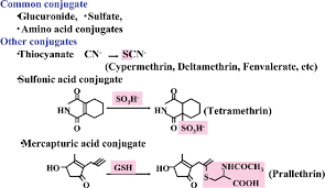 Image result for Pyrethroid