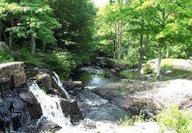 Southford falls state park, located near southbury in western connecticut, occupies a land of iapetos terrane. Job Opening Environmental Protection Seasonal Resource Assistant Department Of Administrative Services
