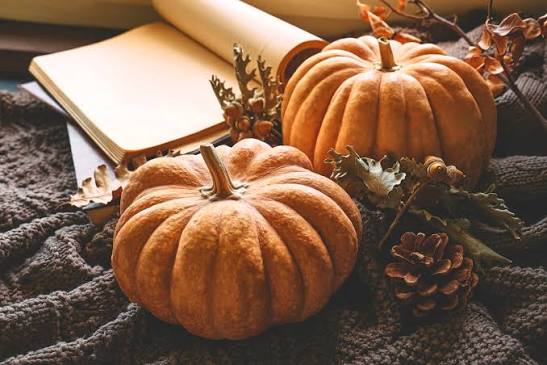 30 Fun Fall Activities to Enjoy Now