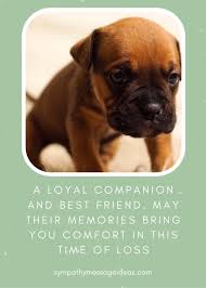 Sympathy messages for loss of pet | condolence messages: 57 Heartbreaking Loss Of Dog Quotes Images Comforting Ways To Remember Your Pal Sympathy Card Messages