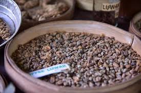 Kopi luwak is coffee made from beans digested by a civet. What Is Kopi Luwak And Why You Shouldn T Drink It Coffee Affection