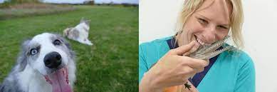 Check spelling or type a new query. Vet 2 Pet Vet Clinic And Mobile Service Lara Vet 2 Pet