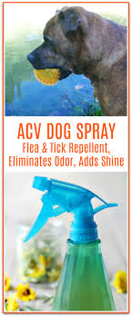 Acv Spray For Dogs Repels Fleas Removes Odor Shines Coat Primally Inspired