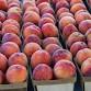 St. Joseph Farmers Market