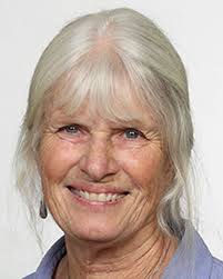 Cynda Collins Arsenault, Arsenault Family Foundation