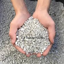 All this is great but what does it have to do with bonsai soil? Pumice Substrate Ingredient For Succulent Cactus Bonsai Soil Etsy