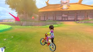 Animal bikes mod you can ride the ender dragon!!!! Pokemon Sword And Shield How To Customize Your Bike Superparent