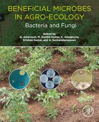 The story of the hated mule. Read Beneficial Microbes In Agro Ecology Online By Academic Press Books