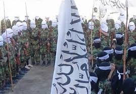 جلد اول افغانستان در مسیر تاریخ. Ø§Ù†ØªØ´Ø§Ø± Ù…Ù†Ø§Ø·Ù‚ ØªØ­Øª Ú©Ù†ØªØ±Ù„ Ø·Ø§Ù„Ø¨Ø§Ù† Ø¯Ø± Ø§ÙØºØ§Ù†Ø³ØªØ§Ù† Ù†Ù‚Ø´Ù‡ Ø§Ø®Ø¨Ø§Ø± Ø¨ÛŒÙ† Ø§Ù„Ù…Ù„Ù„ ØªØ³Ù†ÛŒÙ… Tasnim