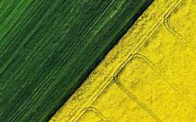 Acer Aspire Laptop Green Aerial View Field 4k Wallpaper Hdwallpaper Desktop Nature Desktop Wallpaper Field Wallpaper Aerial View Acer, aspire, laptop, green, aerial view, field. pinterest