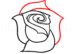 How To Sketch A Rose Step By Step Drawing Guide By Dawn Dragoart Com If you are observing them for a while and. to sketch a rose step by step drawing