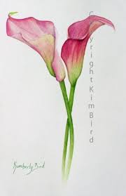 Tattoo Watercolor Flower Calla Lilies 43 Ideas Lily Painting Pink Calla Lilies Lilies Drawing
